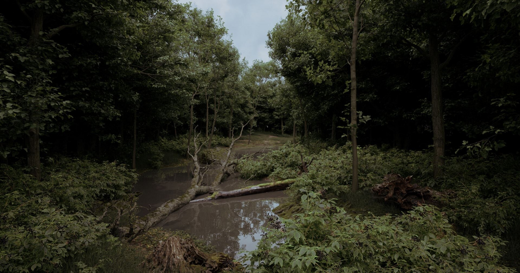 A log submerged in a mucky forest