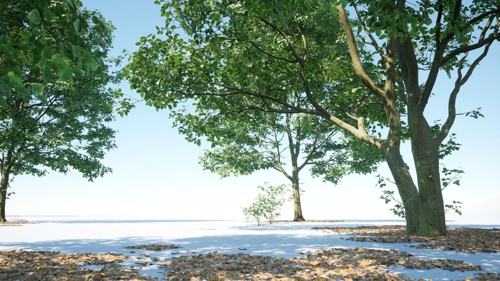 Staging shots of trees and foliage in a plain testing environment