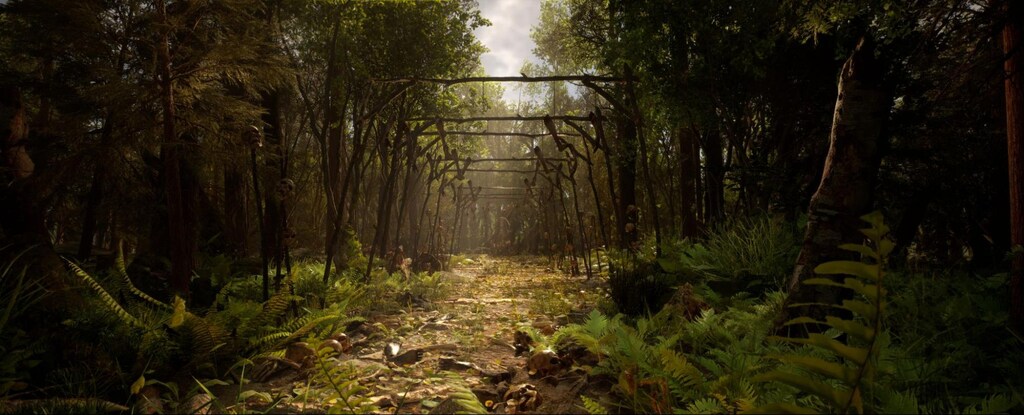 The wood frame of an old bridge is bordered by trees and foliage on either side