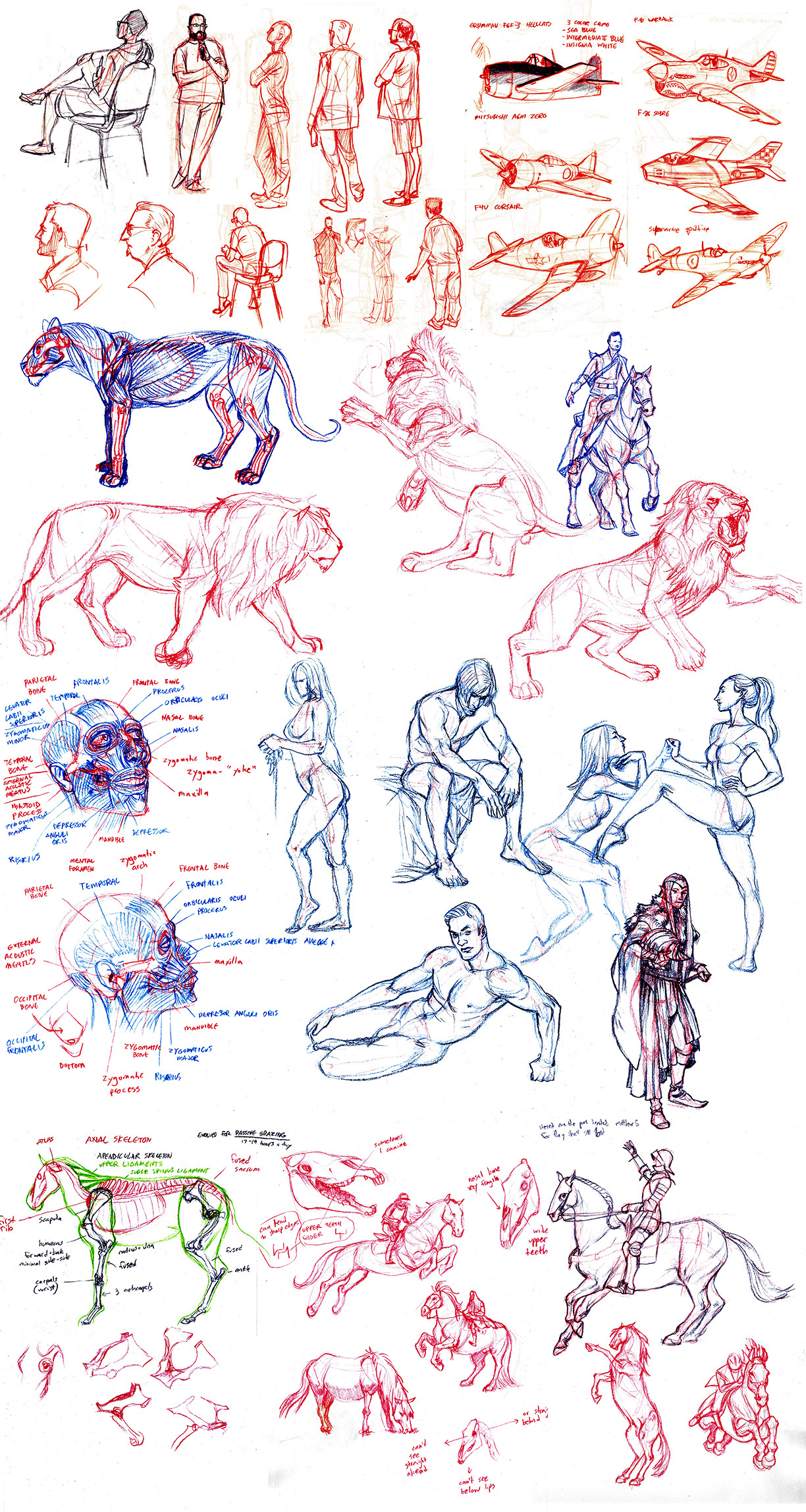 Matt rhodes postmontrealdrawings small