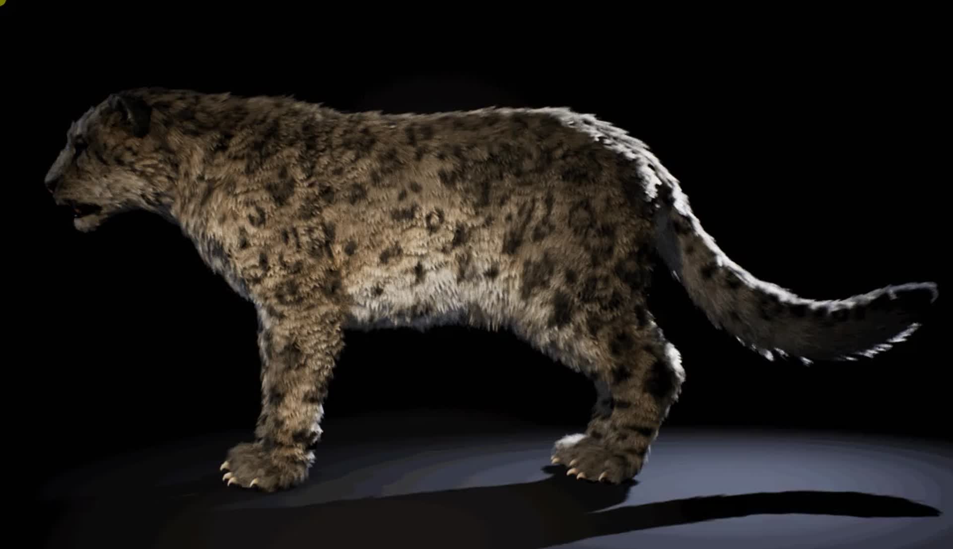 Marcos G. Geymonat - Snow leopard UE4