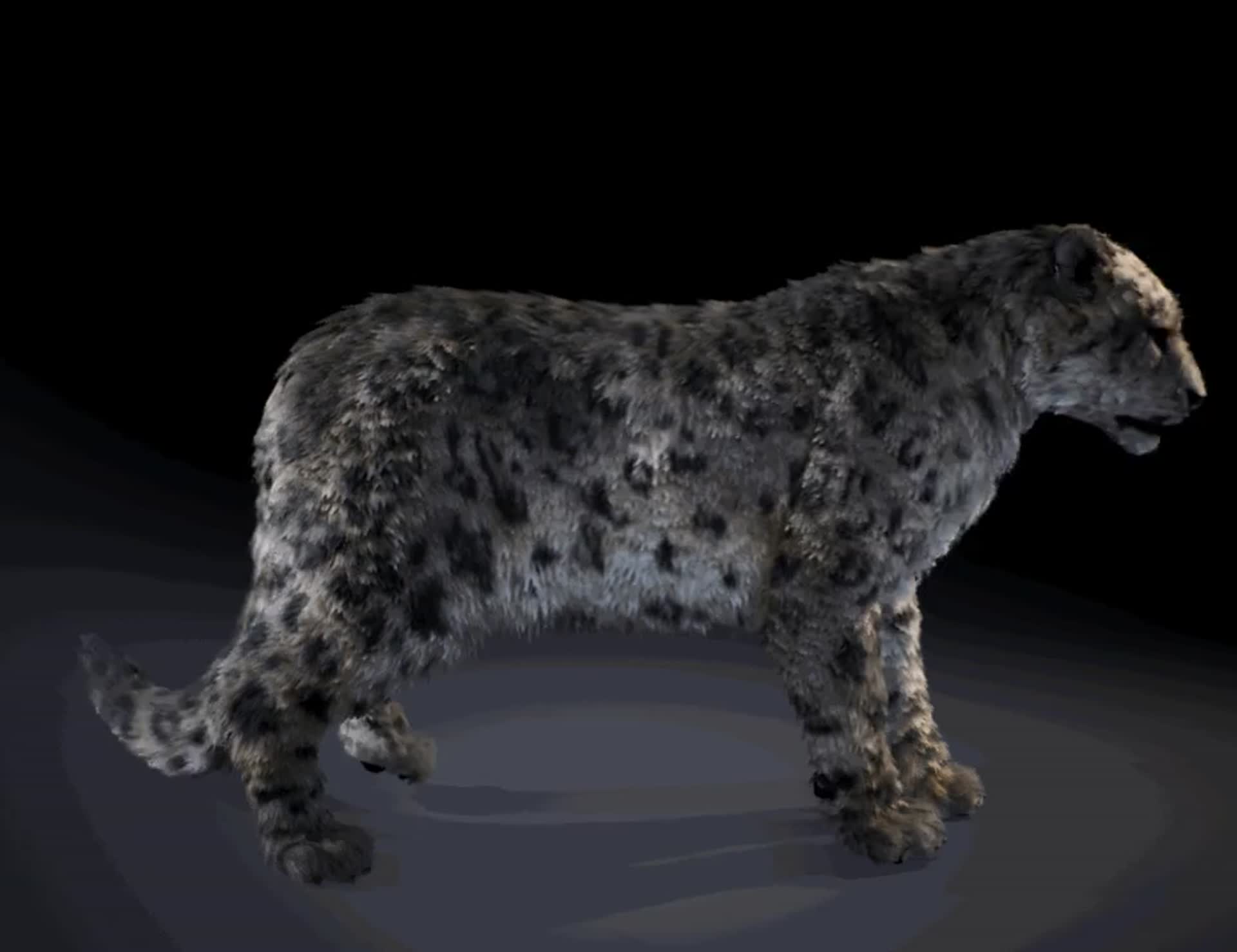 ArtStation - Snow leopard UE4