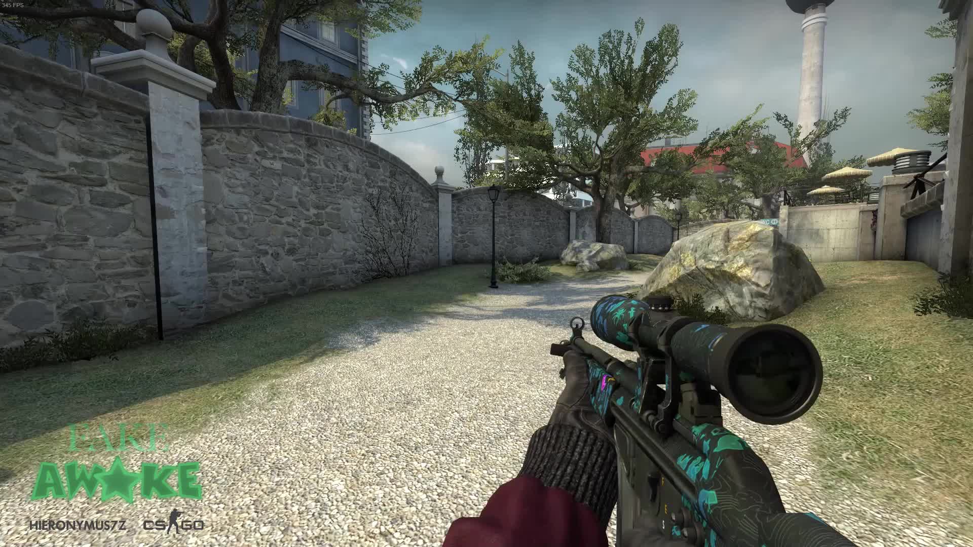 Price Check my AWP Atheris with Team Spirit (Holo)