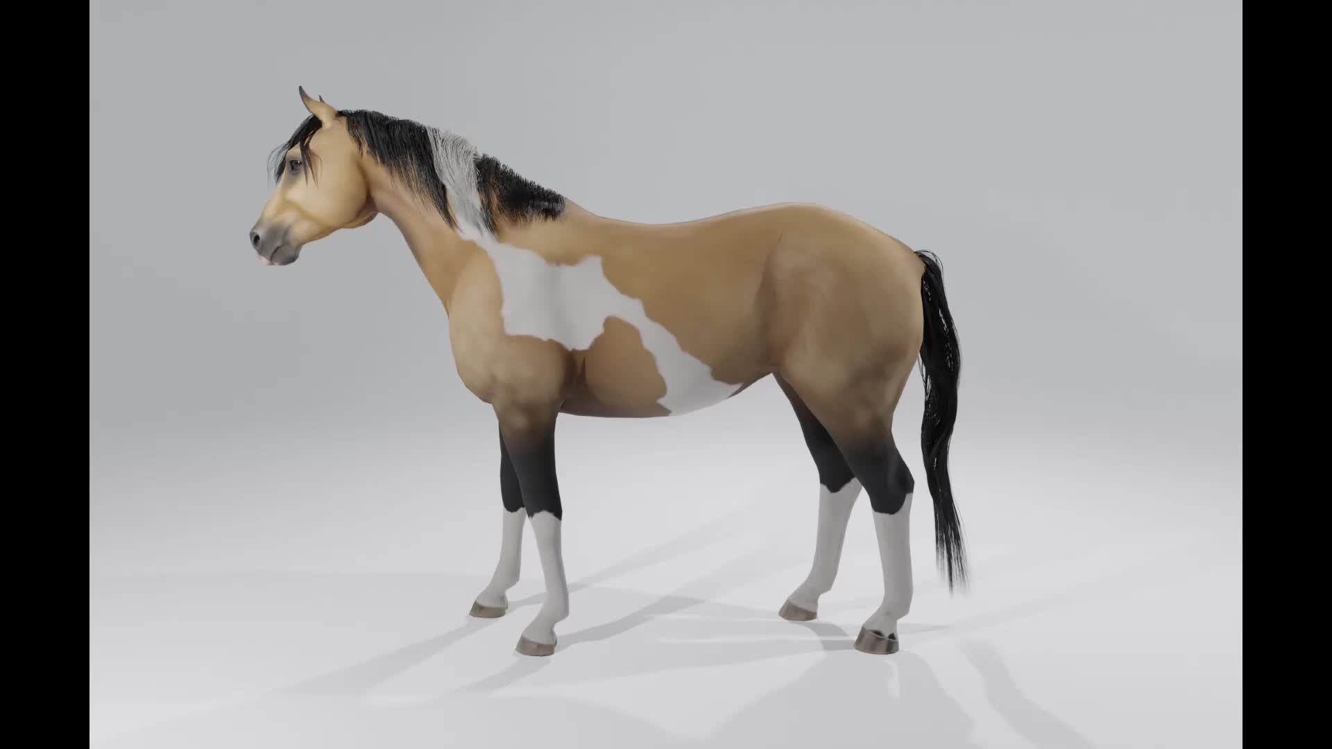 chimeric paint horse