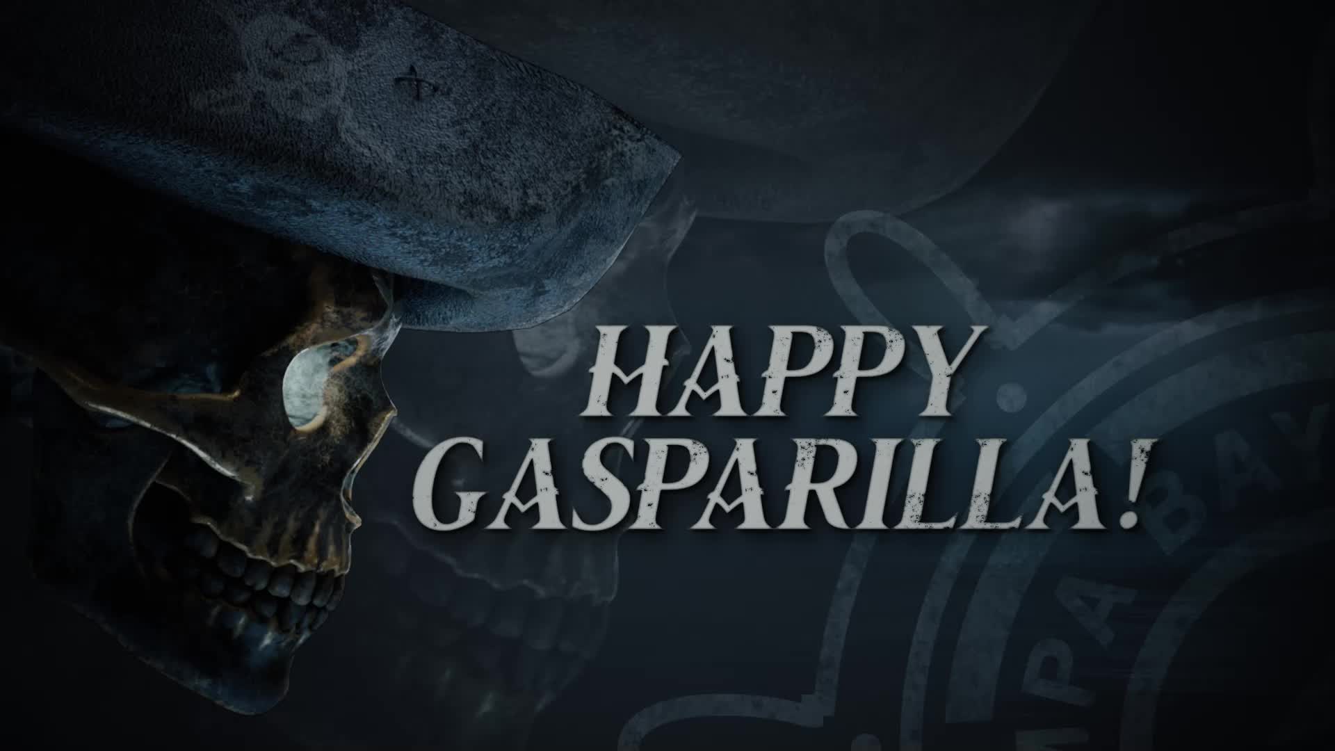 Tampa bay sports tampa bay lightning gasparilla inspired funny