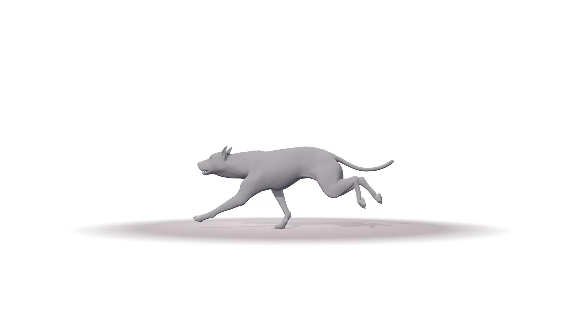 running cycle