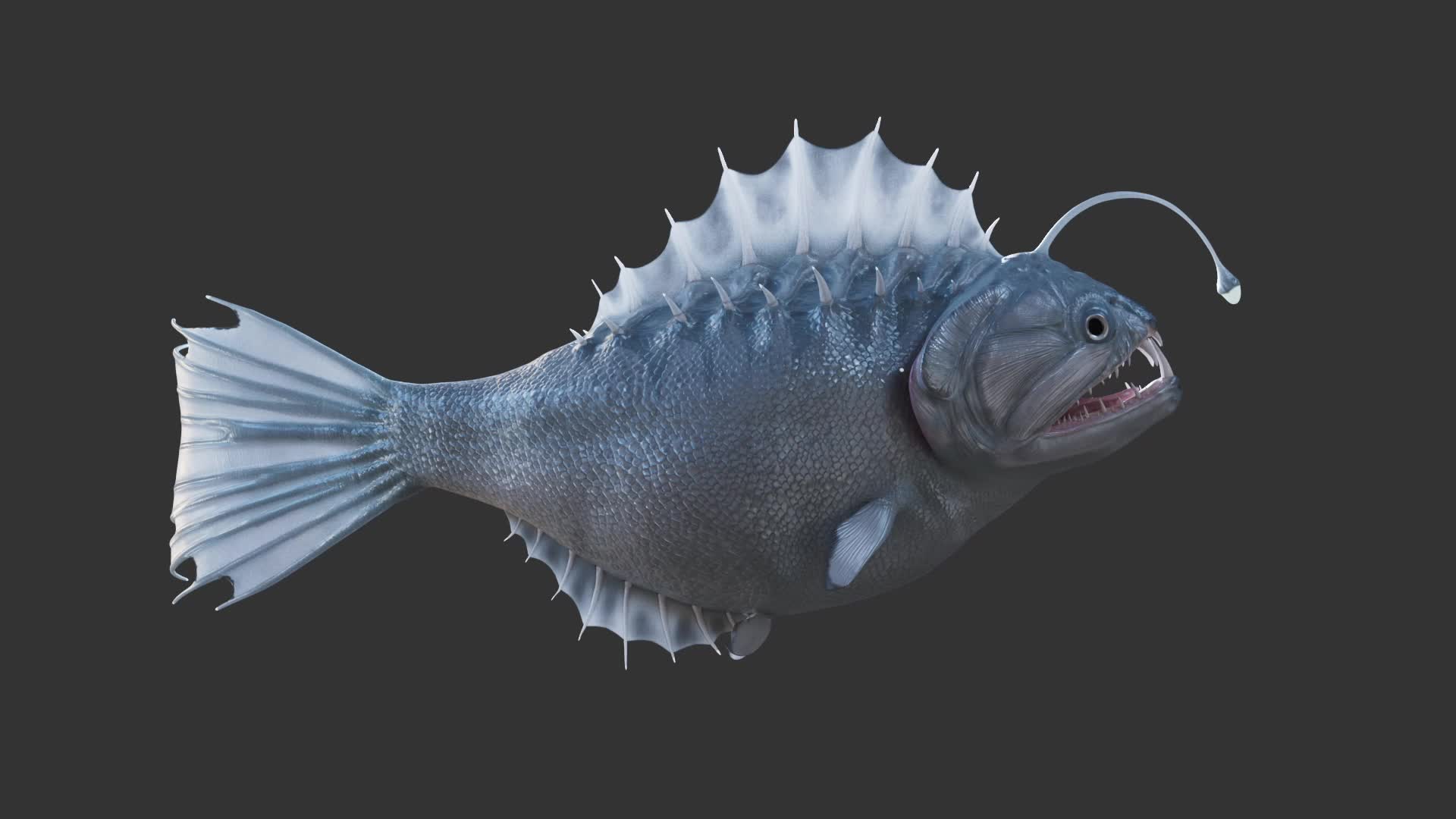ArtStation - Deepsea fish
