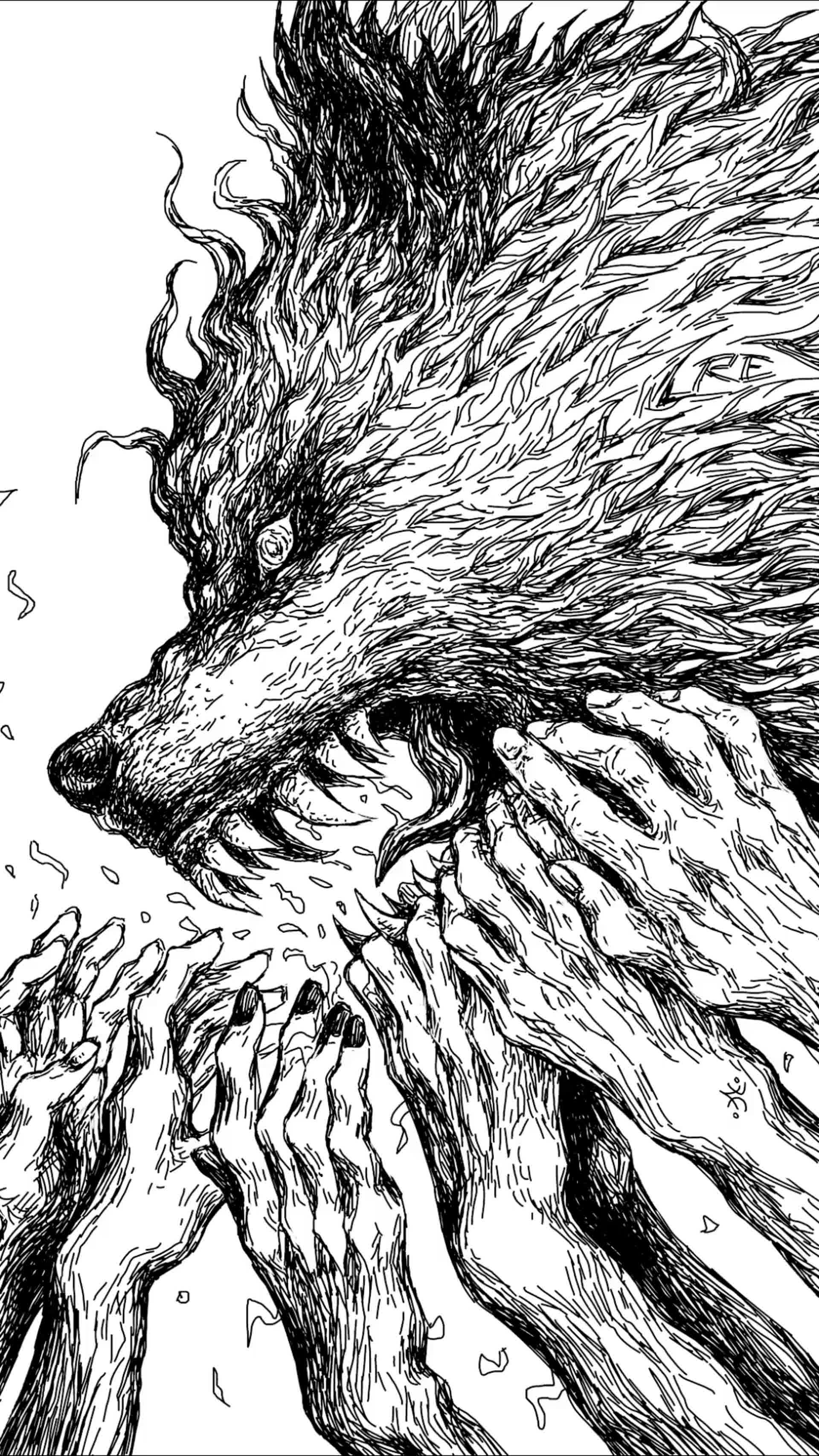 tumblr wolf drawing