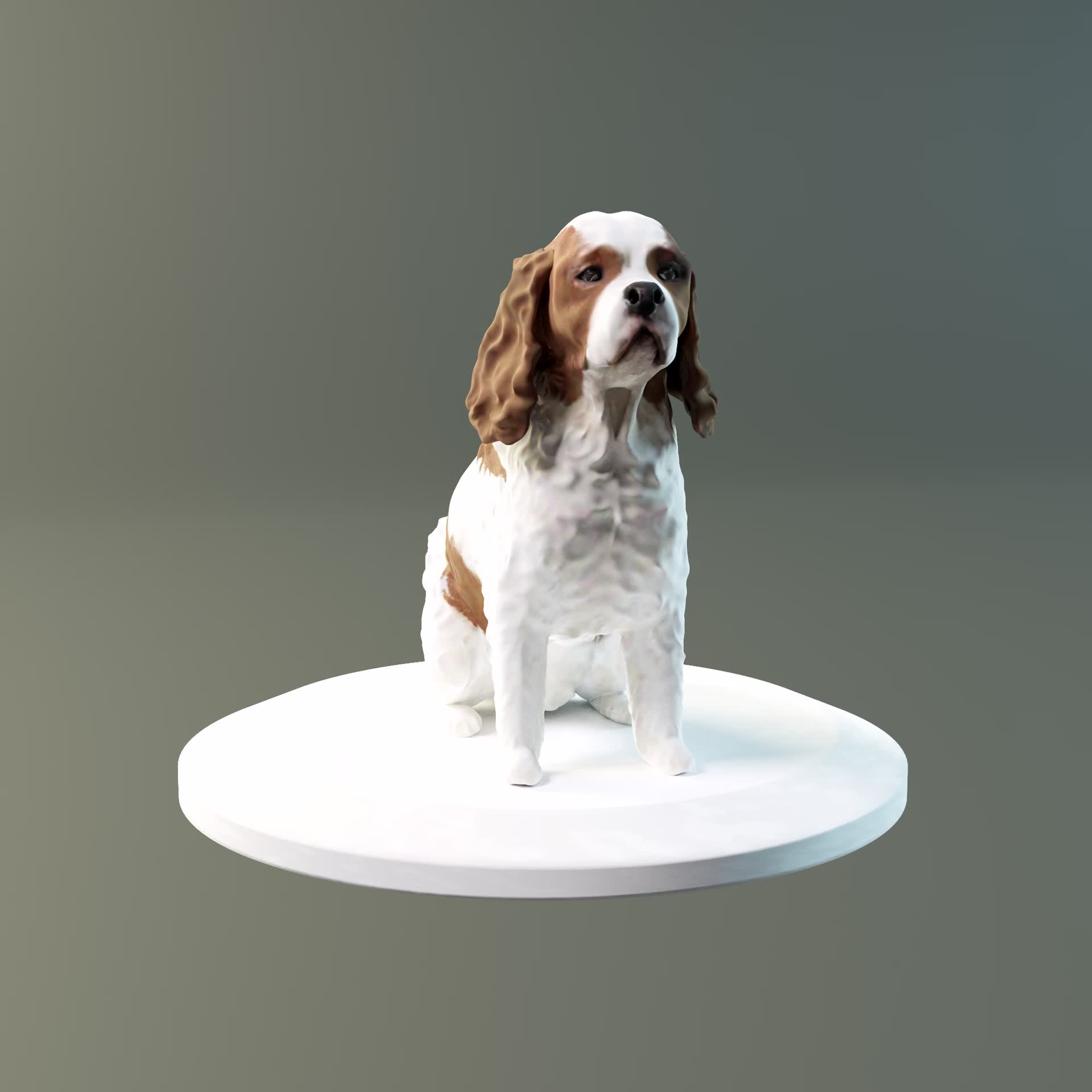 PC周辺機器 THE DOG ~ CavalierKingCharlesSpaniel Cavalier King Charles Spaniel | The Dog Store | The Dog
