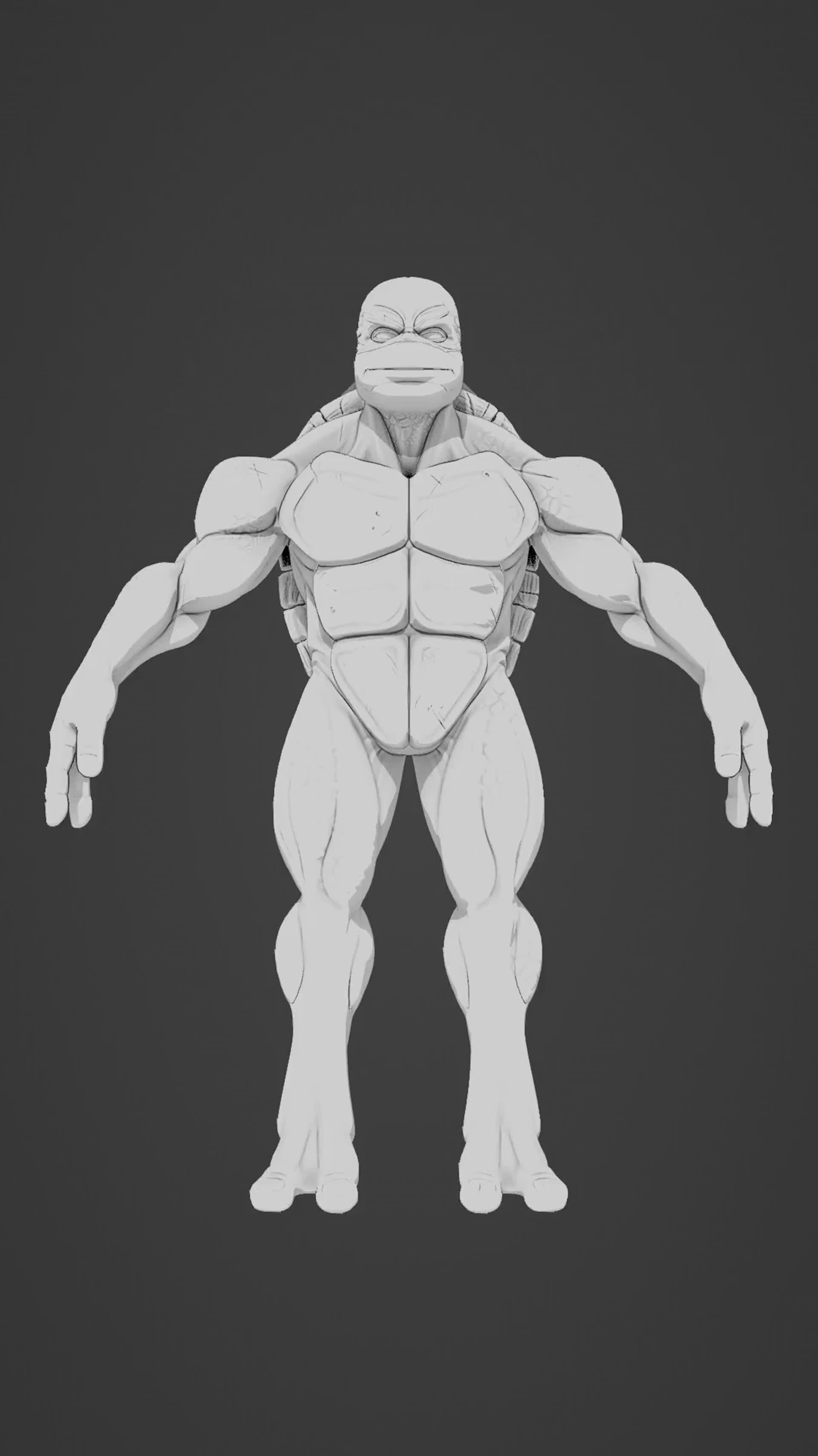 Turtle Muscle Growth Teenage Mutant Ninja Turtle Anatomy