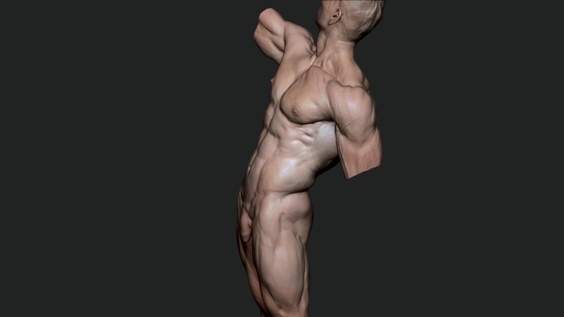 ArtStation - ZBrush Anatomy Tutorial: Sculpting The Back And Torso