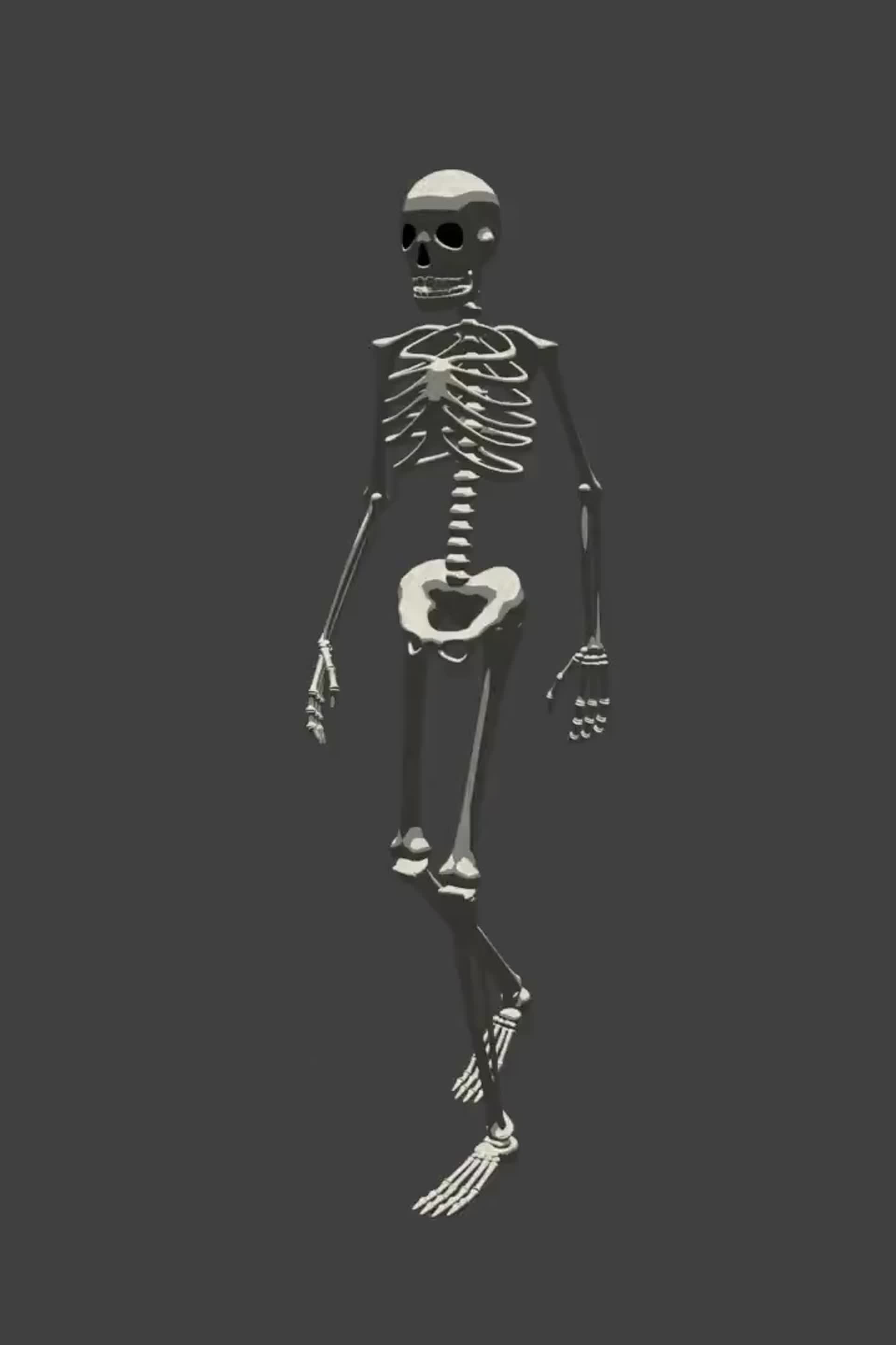 ArtStation - Skeleton - Walk Cycle